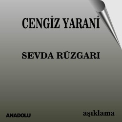 Cengiz Yarani