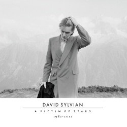 David Sylvian