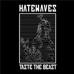 Hatewaves