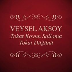 Veysel Aksoy