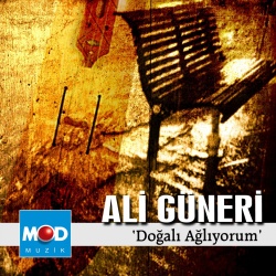 Ali Güneri