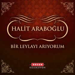 Halit Araboğlu