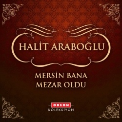 Halit Araboğlu