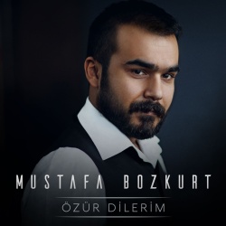 Mustafa Bozkurt