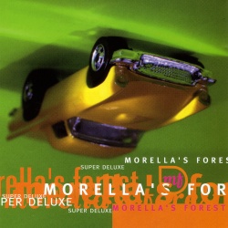 Morella's Forest
