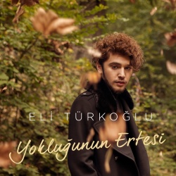 Eli Türkoğlu