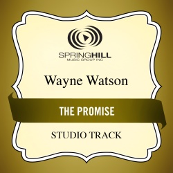 Wayne Watson