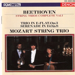 Mozart String Trio