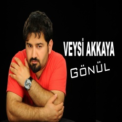 Veysi Akkaya
