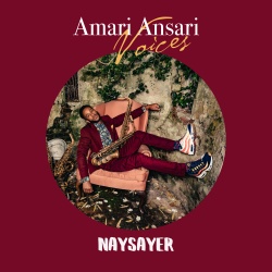 Amari Ansari