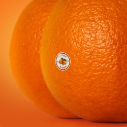 Emotional Oranges