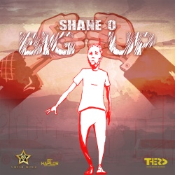 Shane O