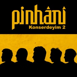Pinhani
